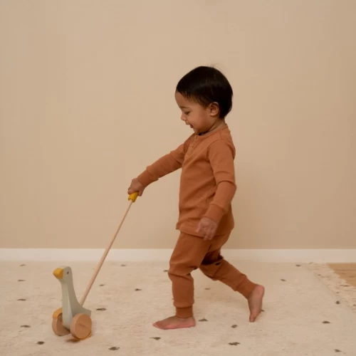 Little Dutch Push-along Little Goose 4 Little Dutch Push-along Little Goose - Image 2