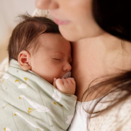 Little Dutch Muslin Cloths 70 X 70 Little Goose (set Of Two) 4 Little Dutch Muslin Cloths 70 X 70 Little Goose (set Of Two) - Image 2